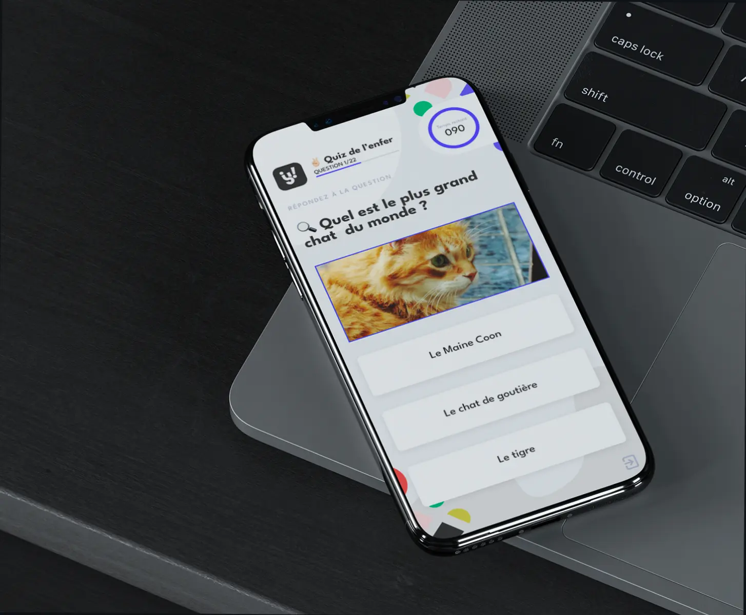 Ysk mobile mockup